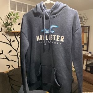 Hollister Hoodie (women’s)